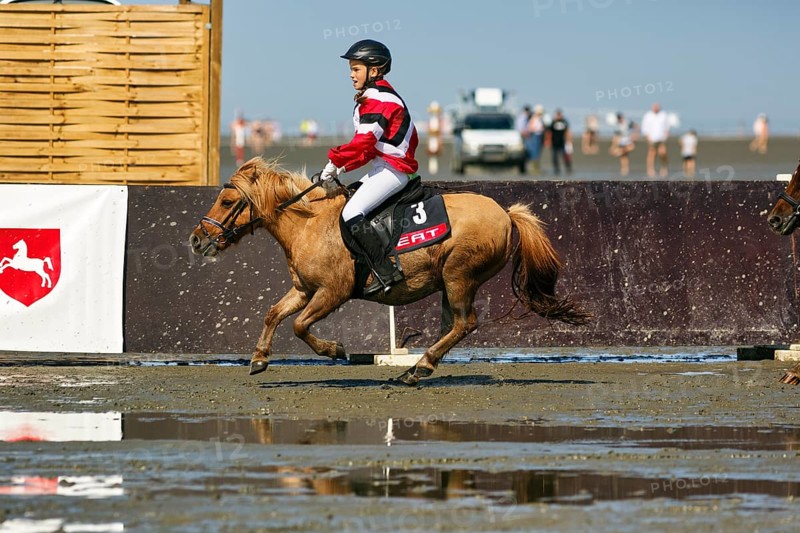Rider, pony at a gallop, child at a gallop race in the mudflats, Duhner Wattrennen 2019, Duhnen, Cuxhaven, UNESCO World Heritage Wadden Sea, North Sea, Lower Saxony, Germany, Europe