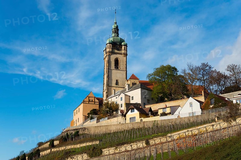 Church and houses on a hill with vineyards under a clear sky, Church of St Peter and Paul, Melnik, Melnick, Central Bohemia, Czech Republic, Europe