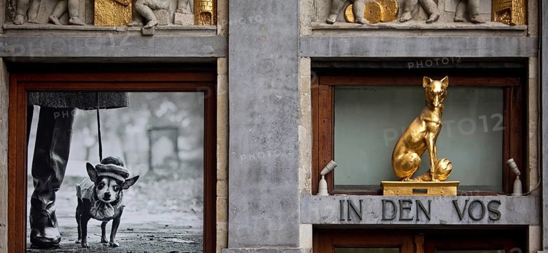 Baroque façade detail of the Guildhall In den Vox with photo exhibition by Elliott Erwitt, Grand-Place, Grote Markt, Brussels, Belgium, Europe