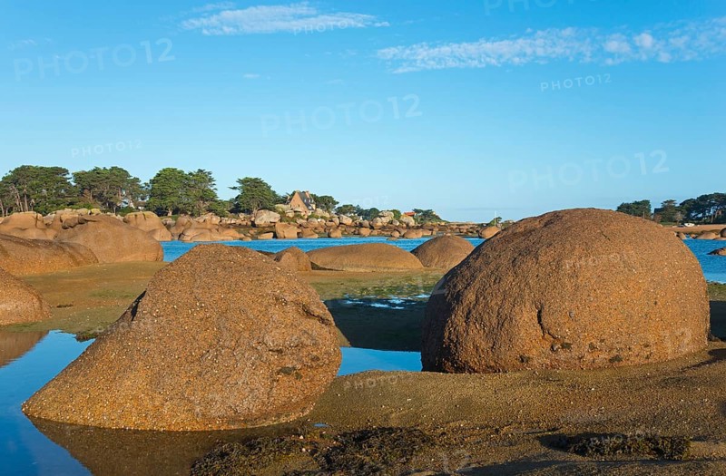 Rocky coast with trees under a clear blue sky, Baie de Sainte-Anne, Trégastel, Tregastel, Côte d'Armor, Brittany, France, Europe