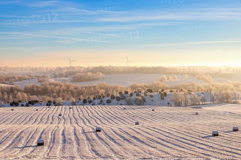 Scenic view at straw bales on a field in a frozen winter landscape with snow and hoarfrost on the countryside in beautiful winter light, Sweden, Europe