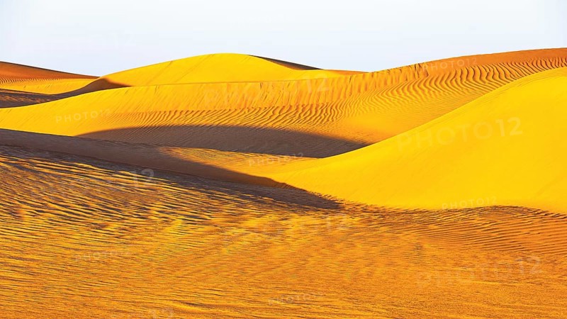 Wind-sculpted curved sand dunes in the Rub al Khali desert, Dhofar province, Arabian Peninsula, Sultanate of Oman