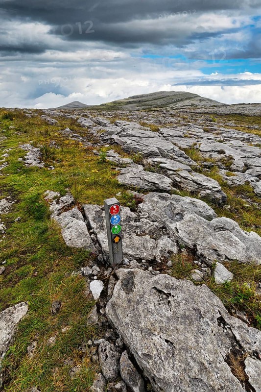 Hiking trail with markings, leads over bizarrely shaped limestone slabs in karst landscape, hills on the horizon, Burren National Park, County Clare, Ireland, Europe