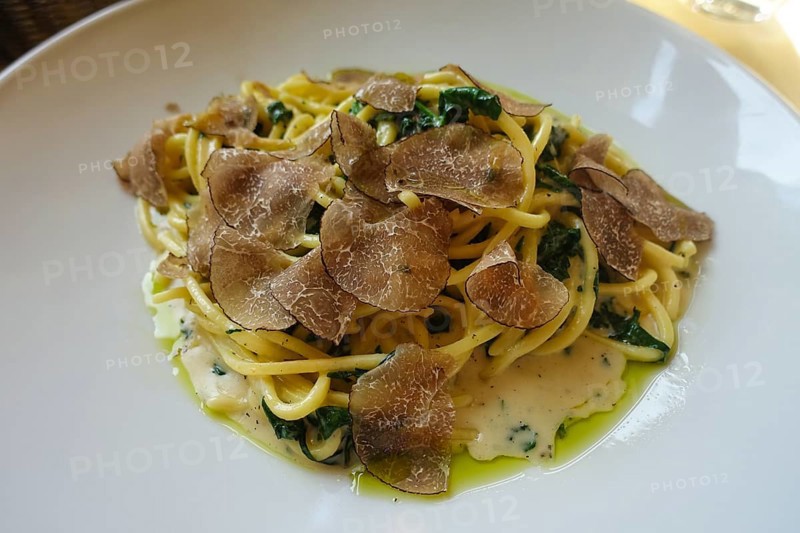 Pasta dish served on a plate, spaghetti with spinach and truffle, vegetarian, fine dining, South German cuisine, Restaurant Schloss Weitenburg, Studio, Food, Starzach, Baden-Württemberg, Germany, Europe