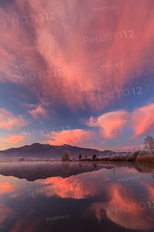 Cloudy mood, dawn, mountains reflected in lake, winter, hoarfrost, Loisach-Lake Kochel moor, behind Herzogstand, Heimgarten, Bavaria, Germany, Europe