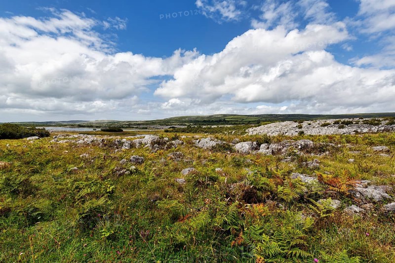 Karst landscape, lake on the horizon, Burren National Park, County Clare, Ireland, Europe