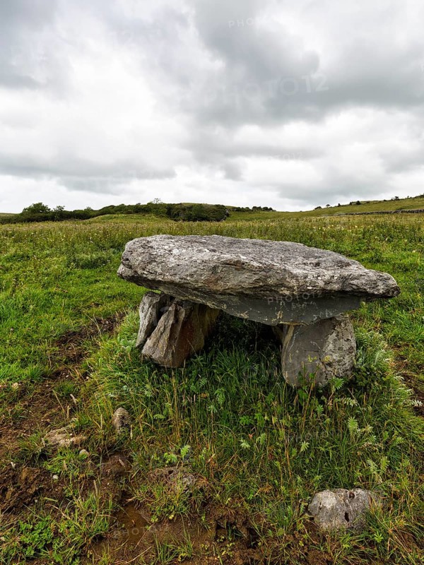 Unknown dolmen in a meadow, County Clare, Ireland, Europe