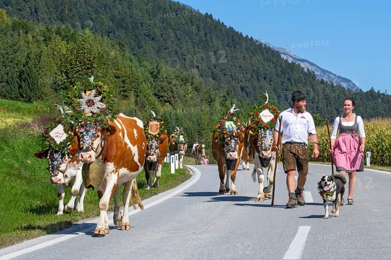 Alpine pasture descent through the village of Terfens, from the Eng-Alm through the Karwendel mountains into the Inn Valley, Terfens, Tyrol, Austria, Europe