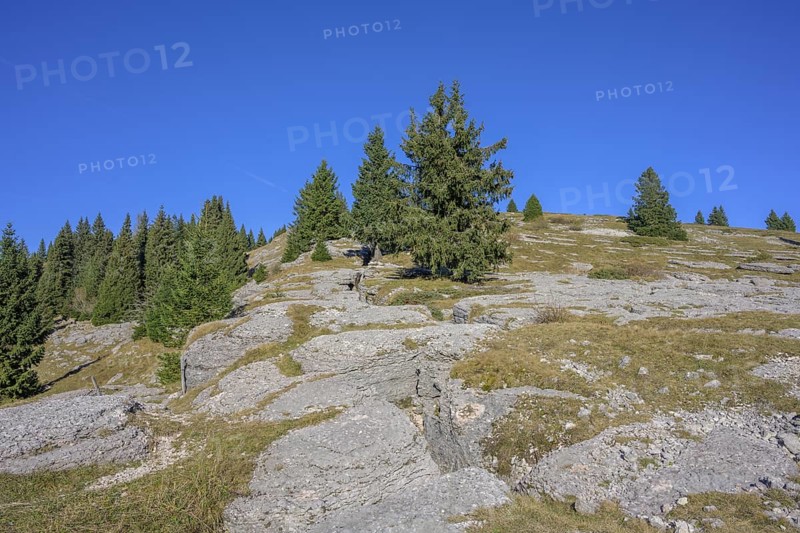 Trenches in karst rock from the First World War, circular hike Monte Fior, Foza, province of Vicenza, Italy, Europe