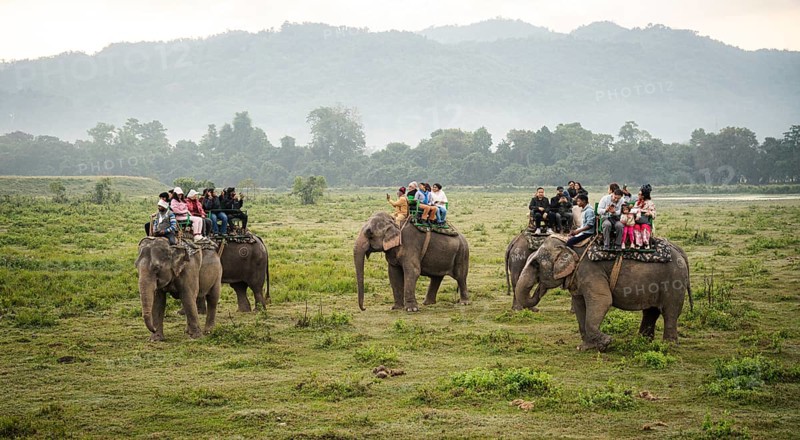 Tourists ride elephants during a safari at Kaziranga National Park on December 5, 2024 in Kaziranga, India. Kaziranga National Park, in Assam is a UNESCO World Heritage Site renowned for its biodiversity