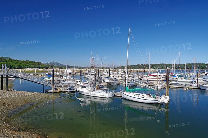 A harbour full of boats and sailboats under a clear blue sky, Cormorant Island, Vancouver Island, National Park, Pacific Ocean, British Columbia, Canada, North America