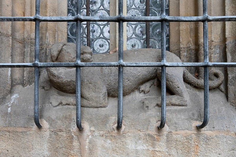 Dog sculpture behind the iron grating of a pointed arch window at the late Gothic hall church of St George, Dinklesbühl, Bavaria, Germany, Europe