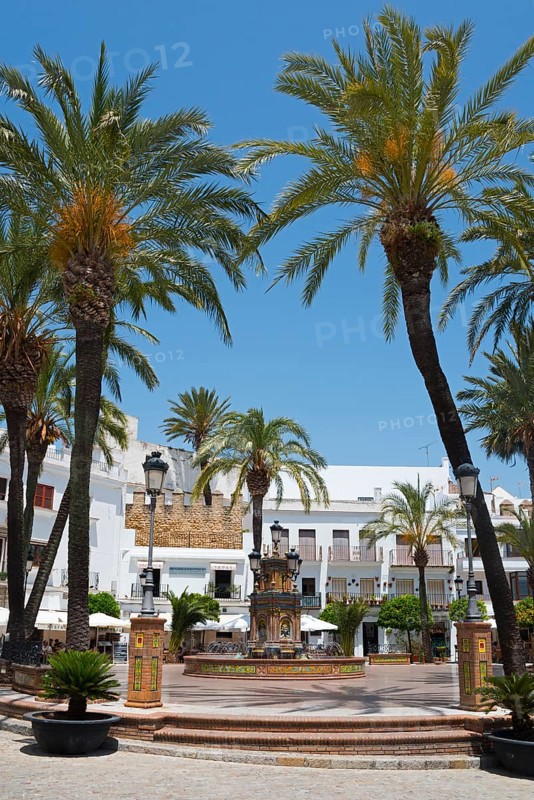 Square with tall palm trees and central fountain, surrounded by white buildings under a clear sky, fountain with azulejos, Plaza de España, square, old town centre, Vejer de la Frontera, Cadiz province, Cadiz, Andalucia, Spain, Europe