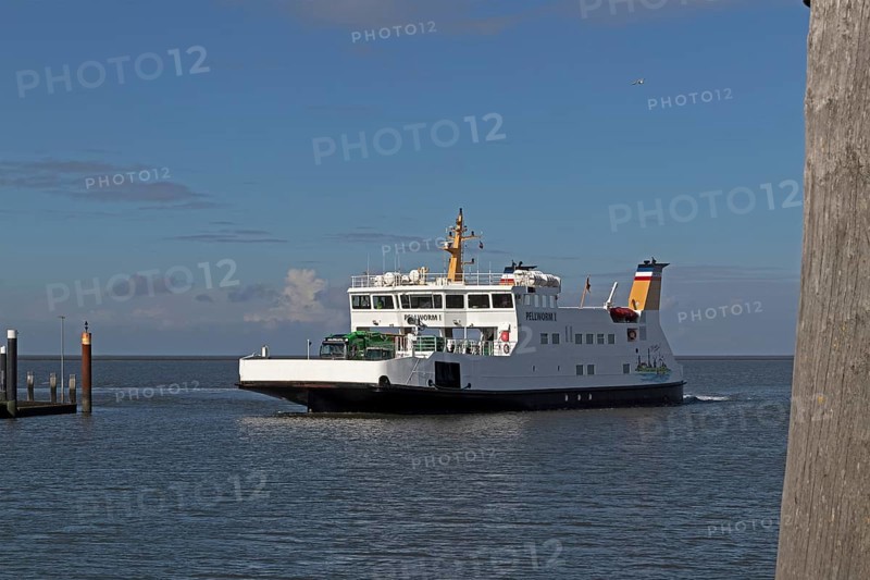 Pellworm ferry arrives, harbour, Strucklahnungshörn, Nordstrand, North Frisia, Schleswig-Holstein, Germany, Europe