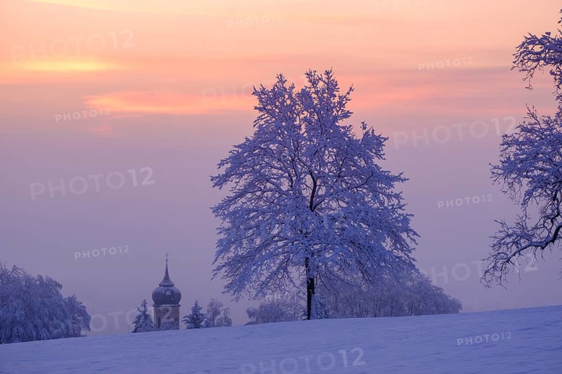 Sunrise with hoarfrost in winter, at the Schlossberg, Eurasburg, Loisachtal, Upper Bavaria, Bavaria, Germany, Europe