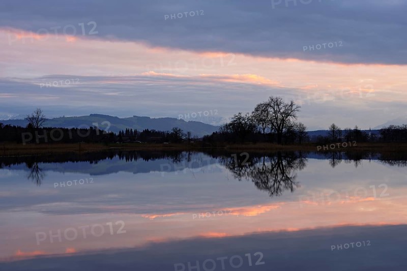 Evening atmosphere in the flooded Reussspitz nature reserve, Canton Zug, Switzerland, Europe