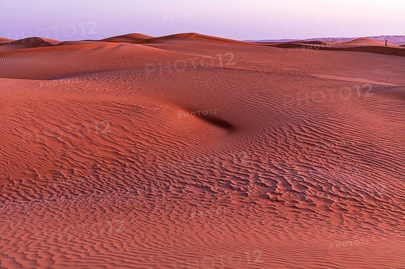 Sand structure formed by the wind, in the Rub al Khali desert, Dhofar province, Arabian Peninsula, Sultanate of Oman