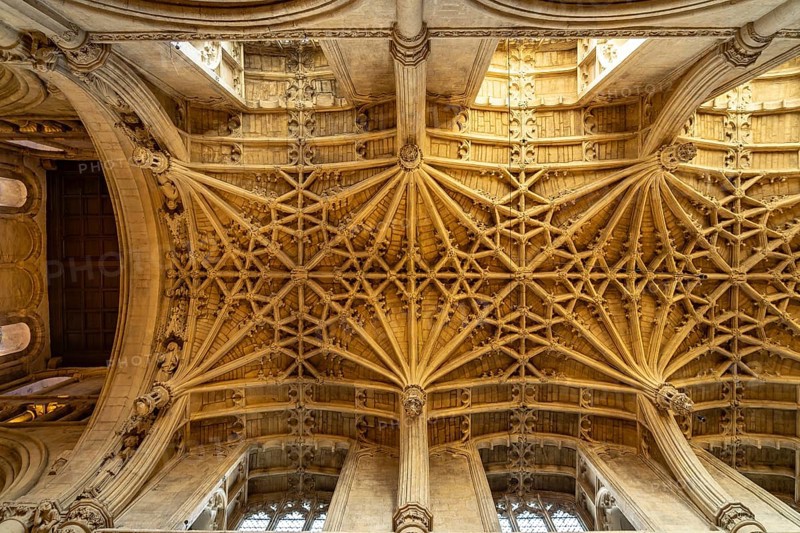 Ceiling vault of Christ Church College Cathedral, Oxford, Oxfordshire, England, Great Britain