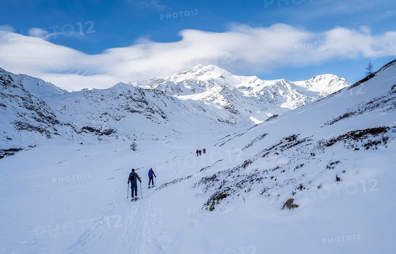 Ski tourers ascending in the rear Martell Valley, snow-covered mountain peak Monte Cevedale behind, Ortler Alps, Vinschgau Valley, Italy, Europe