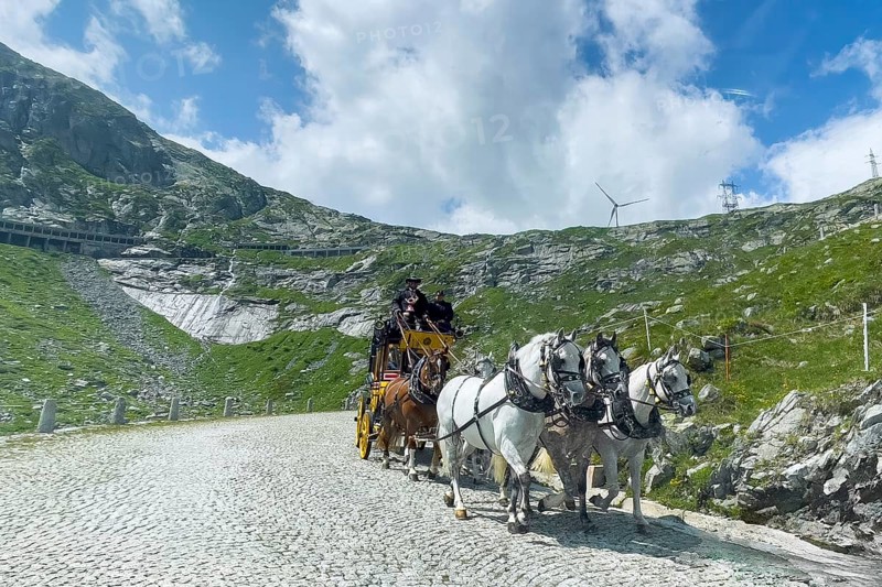 Old horse-drawn carriage with double team of five horses for tourist ride on historic St. Gotthard Pass road Tremola Gotthard Pass Alpine pass mountain road with cobblestones, Ticino, Ticino, Switzerland, Europe