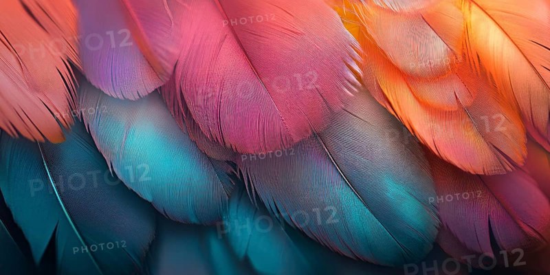 Close up of multicolored exotic bird feathers. Generative Ai, AI generated