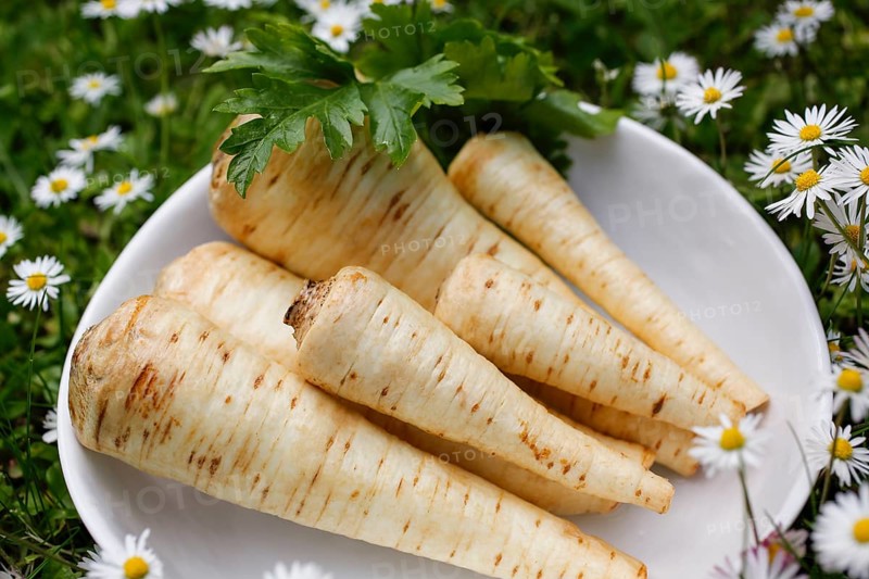 Swabian cuisine, raw parsley root for the preparation of parsley root and mashed potatoes for sour kidneys, grandmother's kitchen, regional, ingredients, healthy, vegetables, home cooking, typical Swabian, daisies, traditional cuisine reinterpreted, food photography, studio, Germany, Europe