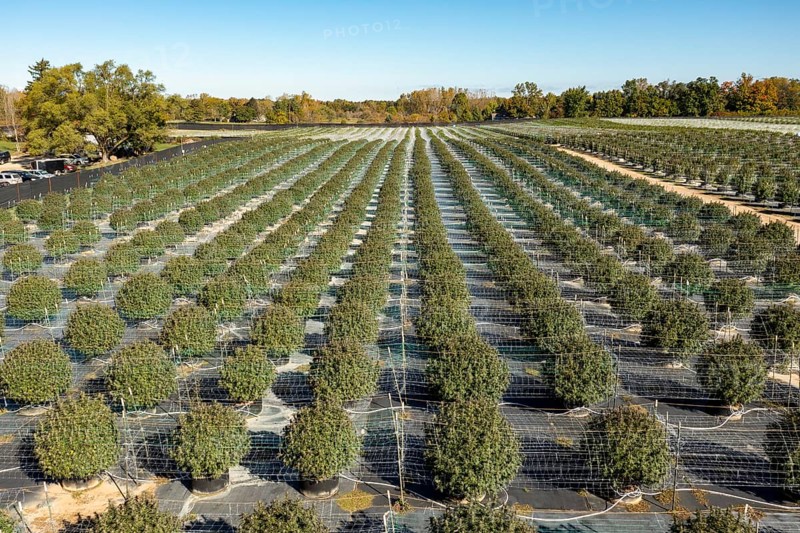 Paw Paw, Michigan, Grasshopper Farms, a large outdoor cannabis grower in west Michigan
