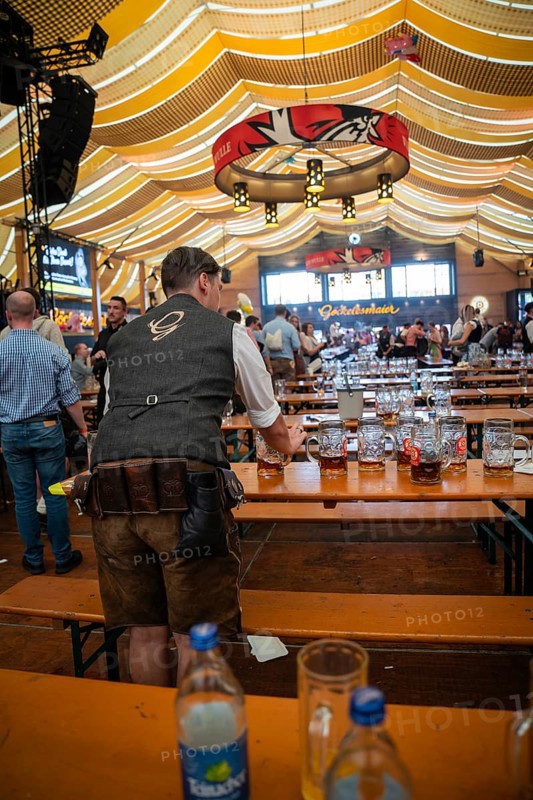 A waiter collects beer mugs from the tables in the marquee, Canstatter Wasen, Stuttgart, Germany, Europe