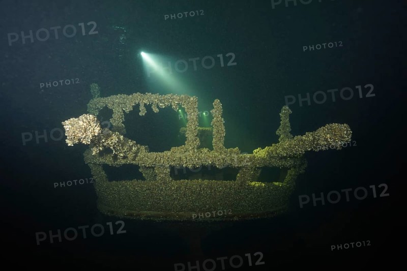 Underwater image of a shipwreck covered by mussels, Quagga triangle mussel (Dreissena rostriformis bugensis), invasive species, dive site wreck of the Jura, Lake Constance, Bottighofen, Switzerland, Münsterlingen, Germany, Europe