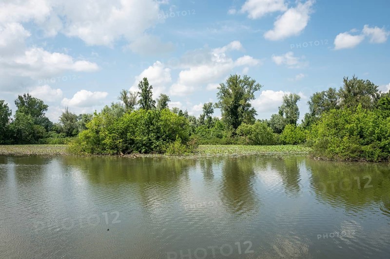 Parco del Mincio, Mantua, Italy, Europe