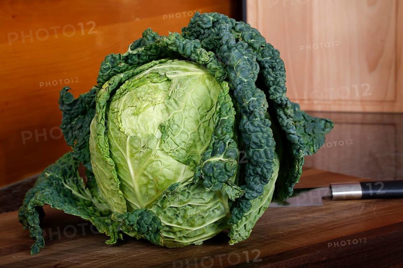Swabian cuisine, preparation of savoy cabbage, wild boar medallions with savoy cabbage cakes, vegetables, healthy, raw savoy cabbage head on cutting board, kitchen knife, home cooking, typical Swabian cuisine, traditional cuisine reinterpreted, food photography, studio, Germany, Europe