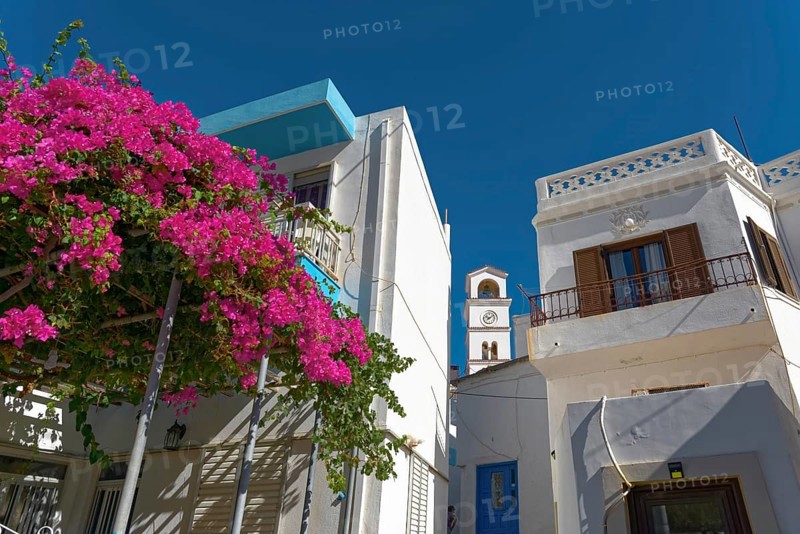 White houses of Menetes with bougainvillea and a bell tower in front of a clear blue sky, Menetes, Karpathos, Greece, Europe
