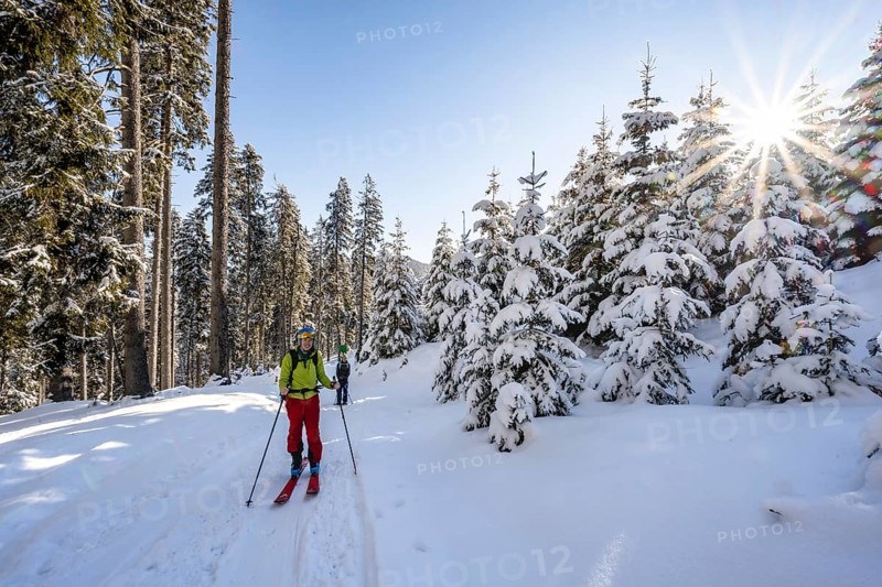 Ski tourers and snowshoe hikers in snowy winter forest with sun star, ascent to Teufelstättkopf, Snowy mountain landscape, Ammergau Alps, Bavaria, Germany, Europe