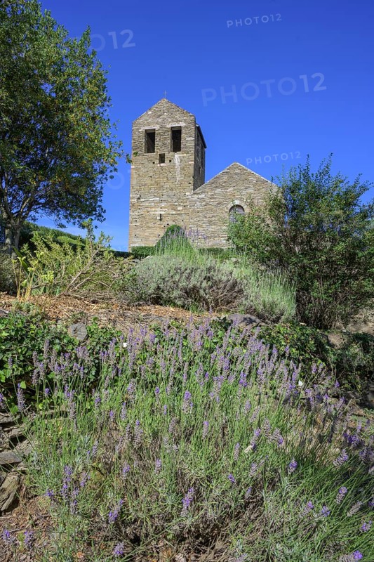 Lavender and behind it Prieuré de Serrabone, Boule-d'Amont, Département Pyrénées-Oriental, France, Europe