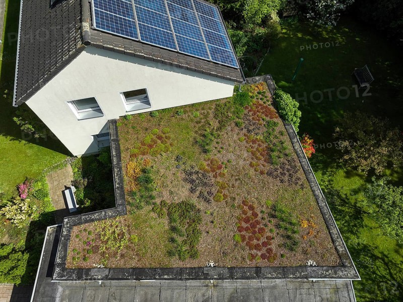 Mülheim an der Ruhr, North Rhine-Westphalia, Germany, flat roof with green roof. Extensive green roofs with low-growing plants such as grasses and sedum plants that are largely self-sustaining without maintenance. They are well adapted to the extreme site conditions on the roof, extreme temperatures, frost, wind, heat, sun and little water. The green roof insulates in winter and serves as heat protection in summer, thus contributing to energy savings and strengthening urban climate resilience as a natural air conditioning system. Green roofs promote biodiversity and help to mitigate urban warming caused by climate change, Europe
