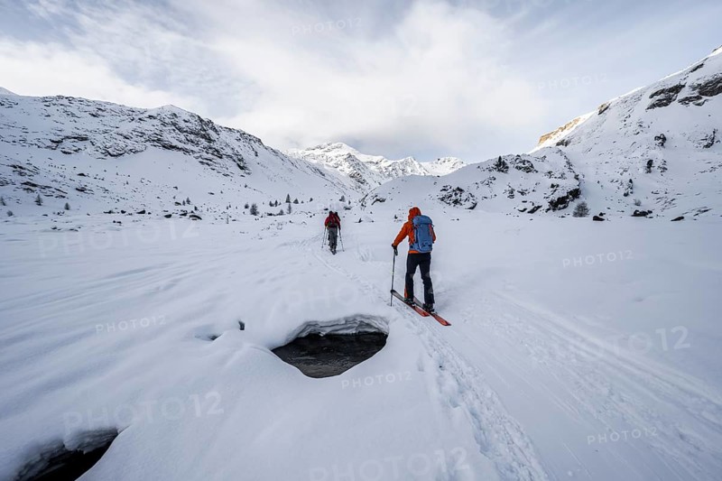 Ski tourers ascending in the rear Martell Valley, snow-covered mountain peak Monte Cevedale behind, Ortler Alps, Vinschgau Valley, Italy, Europe
