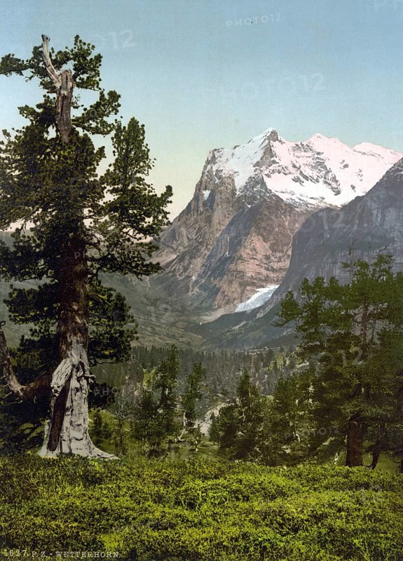 Wetterhorn, general view, Bernese Oberland, Switzerland, Historic, digitally restored reproduction from a 19th century original, Record date not stated, general view, Bernese Oberland, Switzerland, Historic, digitally restored reproduction from a 19th century original, Record date not stated, Europe