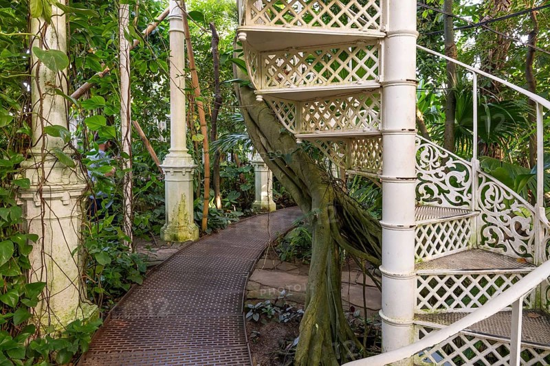 Decorative white spiral staircase and cast iron columns amidst lush vegetation, historic greenhouse, palm house, Botanical Garden or Botanisk Have, University, Copenhagen, Denmark, Europe