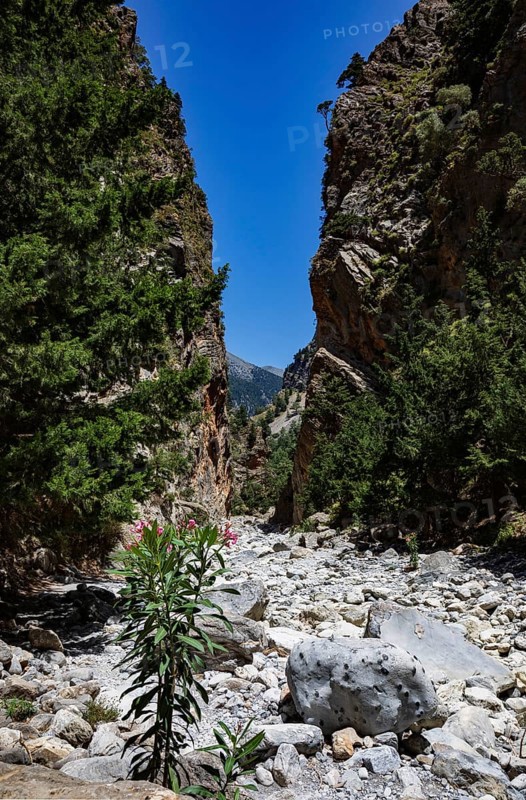 Hiking trail through the Samaria Gorge, south coast, Crete, Greece, Europe