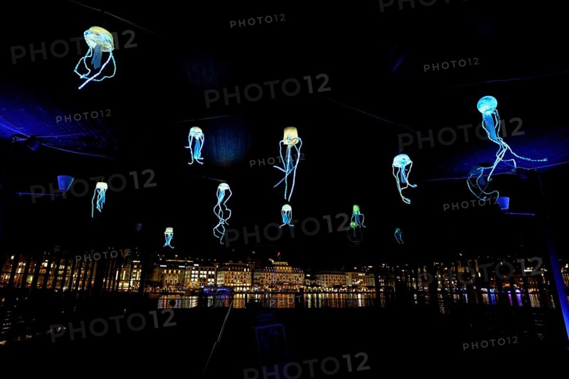 Coloured illuminated octopuses on the ceiling of the boat station, Lilu, Light Festival 2025, Lucerne, Canton Lucerne, Switzerland, Europe
