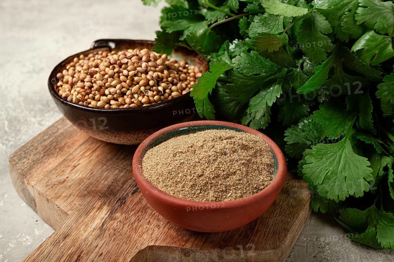 A bunch of fresh cilantro, coriander seeds and powder bowls, close-up, top view, no people, food and drinks
