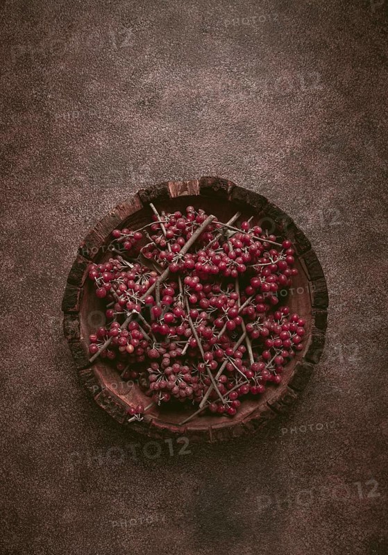 Shtoshi berry, Shepherd's pie, a hybrid of sea buckthorn and barberry, top view, no people