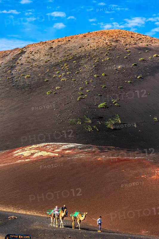 2016, Timanfaya National Park, Lanzarote, Fire Mountains of Timanfaya National Park, Montanas del Fuego, ESP, Spain, Canary Islands, Canary Islands, Atlantic Ocean, Lanzarote, biosphere reserve, volcano, volcanism, volcanic island, lava fields, island, camels, dromedary, camello, date taken, Europe