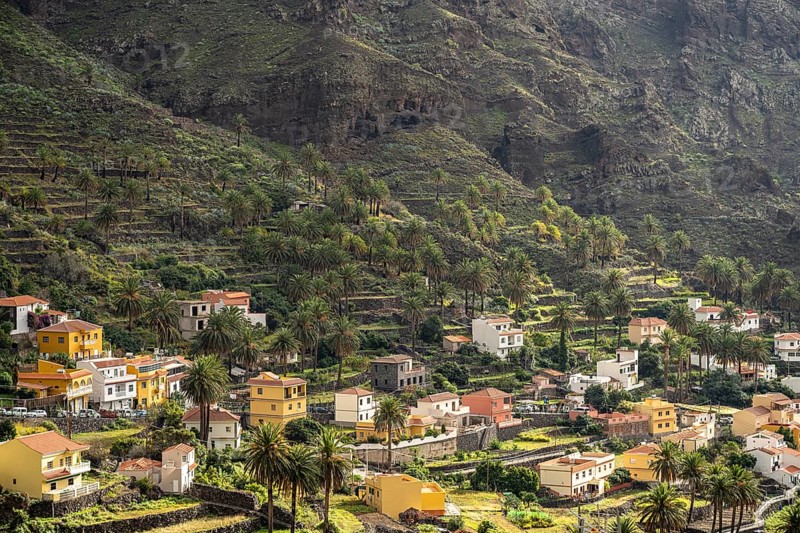 Cultural landscape with palm trees in Valle Gran Rey, La Gomera, Canary Islands, Spain, Europe