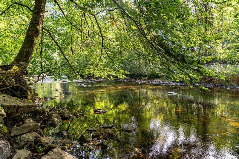 The River Wutach in the Wutach Gorge, Black Forest, Baden-Württemberg, Germany, Europe