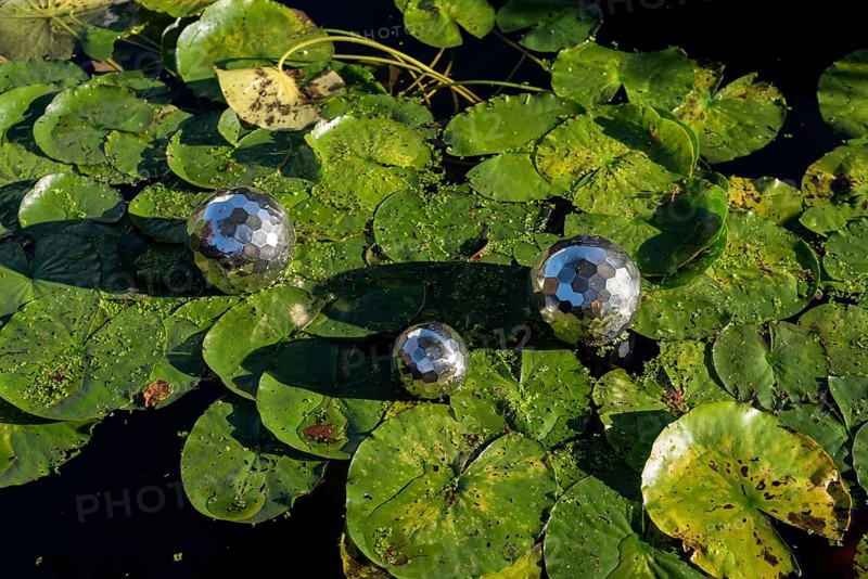 Three silver balls lying on water lily pads, Germany, Europe