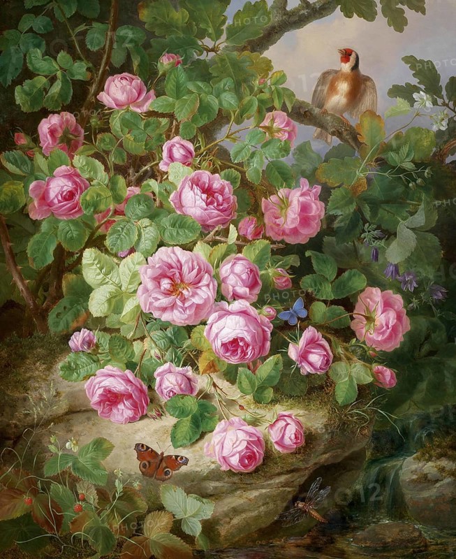 Large rose still life with butterflies and bird, painting by Josef Lauer (1818, 1881), Austrian still life painter who was active in the Biedermeier period, among others
