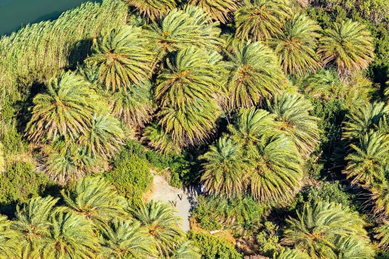 Preveli palm forest, Rethymno, Crete, Greek Islands, Greece, Europe