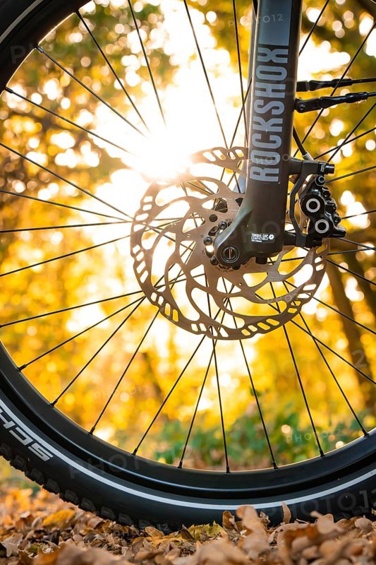 Close-up of a bicycle rim with disc brake in autumn light, e-bike, forest bike, Calw, district of Calw, Black Forest, Germany, Europe