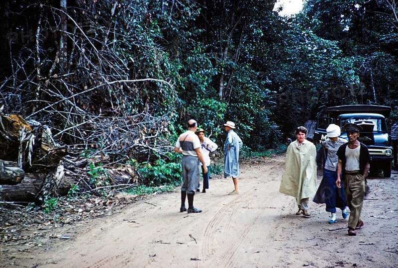 Rainforest road with broken vehicle, passengers on foot, Guyana, West Indies, South America, 1960 1961, then colony of British Guiana, South America